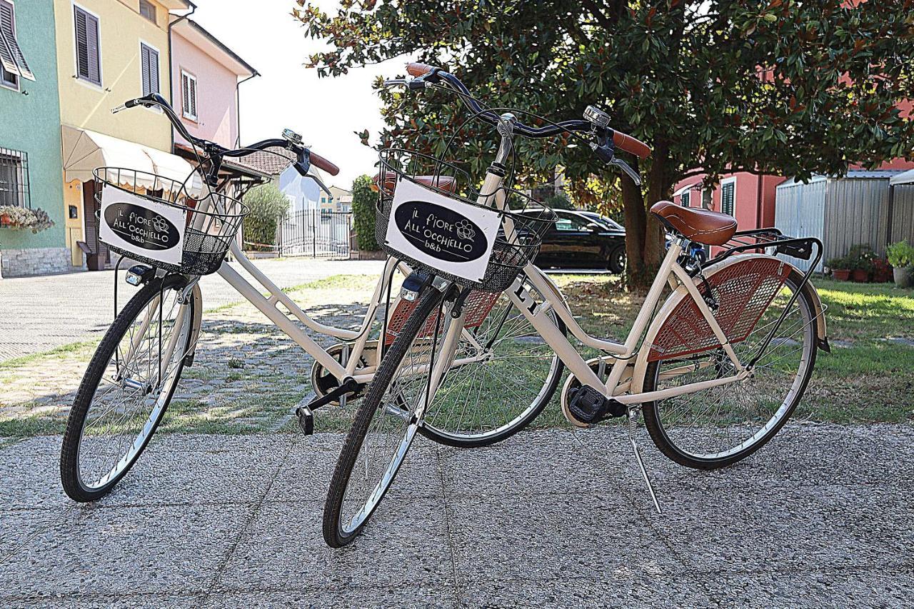 Il Fiore All'occhiello Bed & Breakfast Lucca